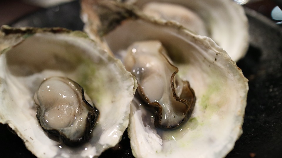 oyster-989179_960_720