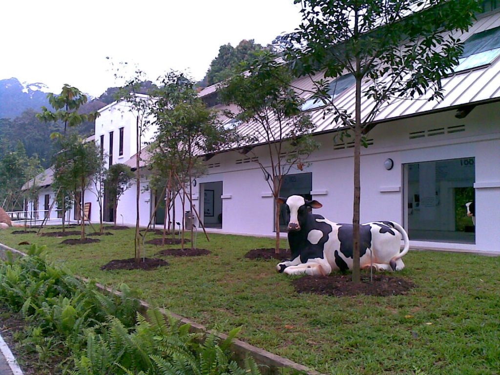 dairy farm