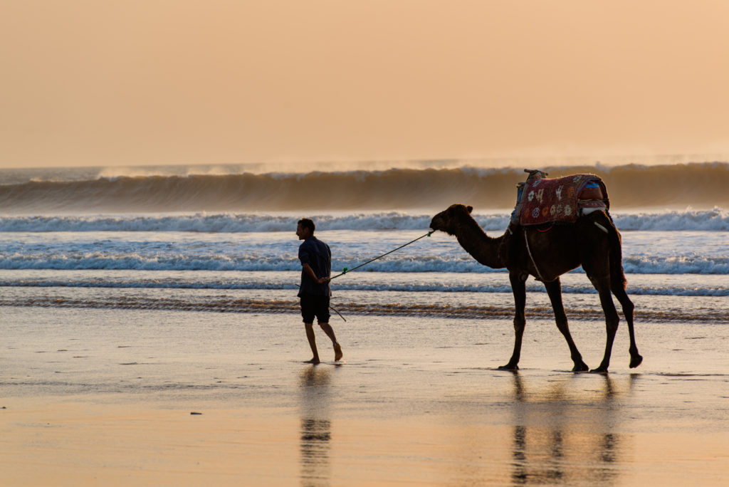 Rebali Riads, Sidi Kaouki, Essaouira, Morocco. Photo by Alan Keohane www.still-images.net