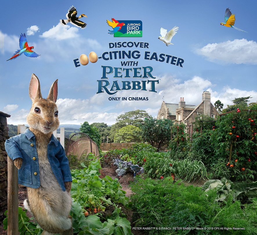 Peter Rabbit at Jurong Bird Park