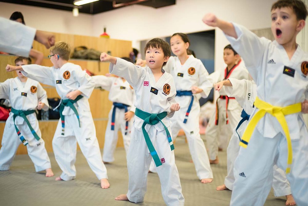 Children can build their coordination, strength and flexibility with Taekwondo or Brazilian Jiu-Jitsu at Trifecta Martial Arts.