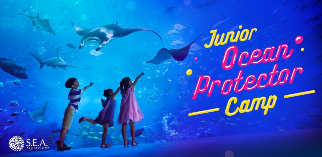 S.E.A. Aquarium Junior Ocean Protector Camp